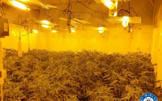 Around 500 cannabis plants have been discovered at three locations in Sandwell.