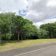 Woodland Drive, Smethwick. Pic: Google Maps