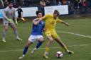 Action from Halesowen Town v Harborough Town. Picture: Steve Evans