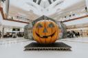 Spooky House on the Hill and circus shows among Halloween treats at Merry Hill