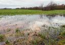 Project aiming to use nature to reduce flooding at Illey Brook awarded £150k