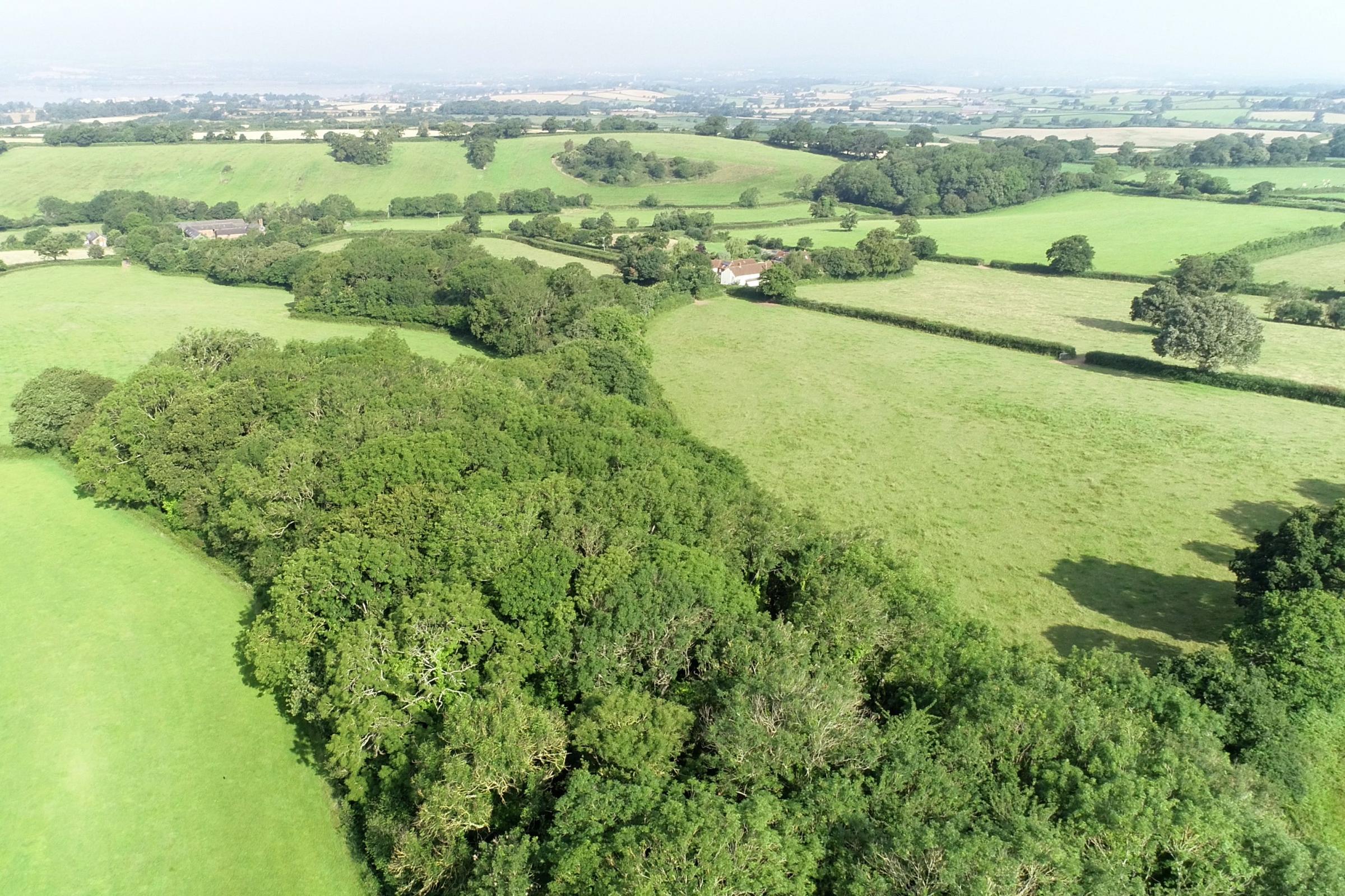 Public urged to help £2.5m bid to turn Devon site into woodland wildlife haven - Vimarsana News