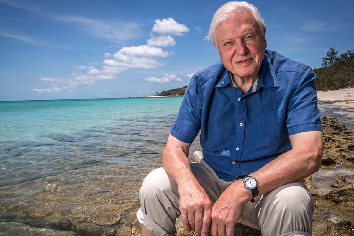 David Attenborough turns 96 – how you can say happy birthday - Vimarsana News