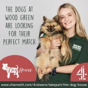 Programme-makers are seeking people who can offer a loving home to a rescue dog to take part in a new series of The Dog House