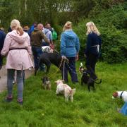 Memorial pet walk to take place at Baggeridge Country Park